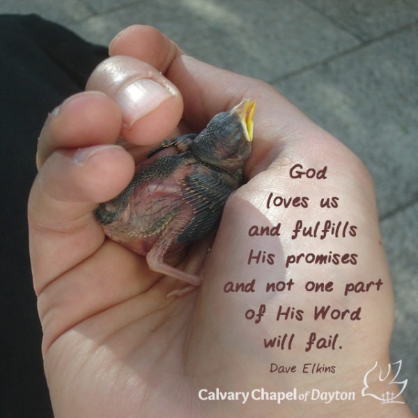 God loves us and fulfills His promises and not one part of His Word will fail.