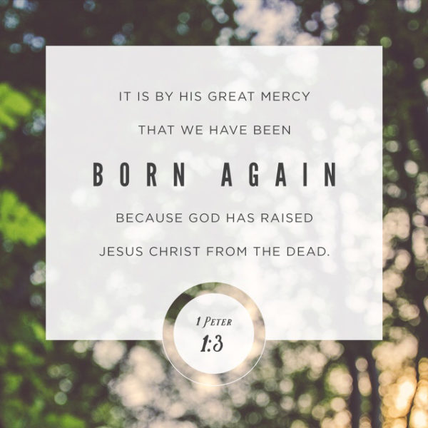 It is by His great mercy that we have been born again because God has raised Jesus Christ from the dead.