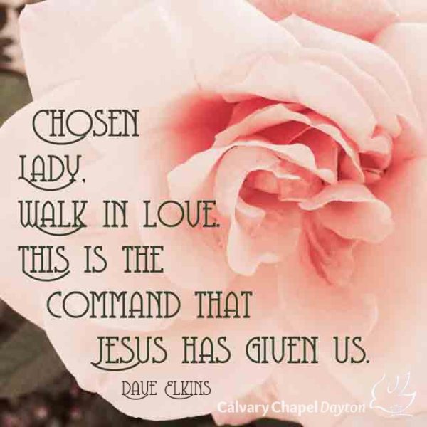 Chosen Lady, walk in love. This is the command that Jesus has given us.
