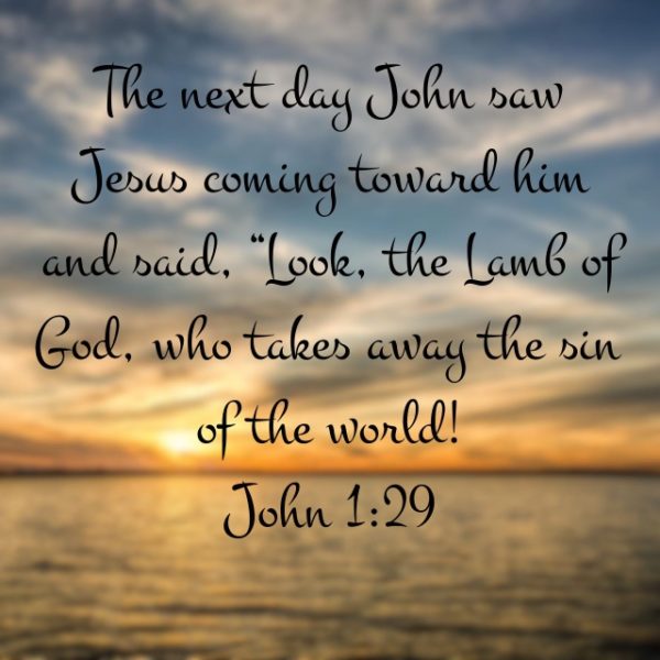 The next day John saw Jesus coming toward him and said, "Look, the Lamb of God, who takes away the sin of the world!"