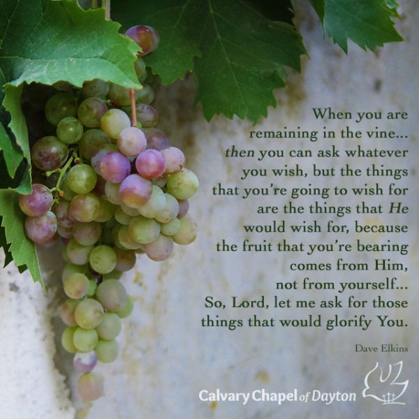 When you are remaining in the vine...then you can ask whatever you wish, but the things that you're going to wish for are the things that He would wish for, because the fruit that you're bearing comes from Him, not from yourself... So, Lord, let me ask for those things that would glorify You.