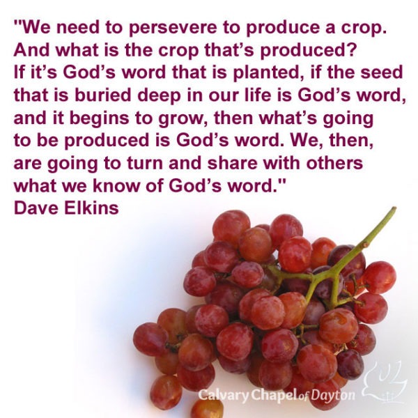 We need to persevere to produce a crop. And what is the crop that's produced? If it's God's word that is planted, if the seed that is buried deep in our life is God's word, and it begins to grow, then what's going to be produced is God's word. We, then, are going to turn and share with others what we know of God's word.