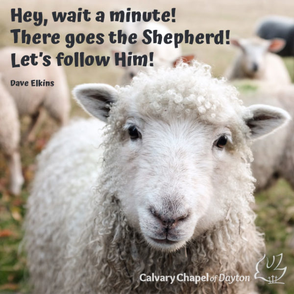 Hey, wait a minute! There goes the Shepherd! Let's follow Him!