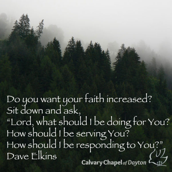 Do you want your faith increased? Sit down and ask, "Lord, what should I be doing for You? How should I be serving You? How should I be responding to You?