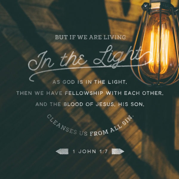 But if we are living in the light as God is in the light, then we have fellowship with each other, and the blood of Jesus, His Son, cleanses us from all sin.