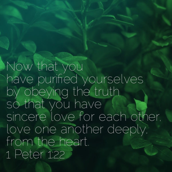 Now that you have purified yourselves by obeying the truth so that you have sincere love for each other, love one another deeply, from the heart.