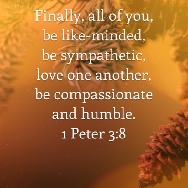 Finally, all of you, be like-minded, be sympathetic, love one another, be compassionate and humble.