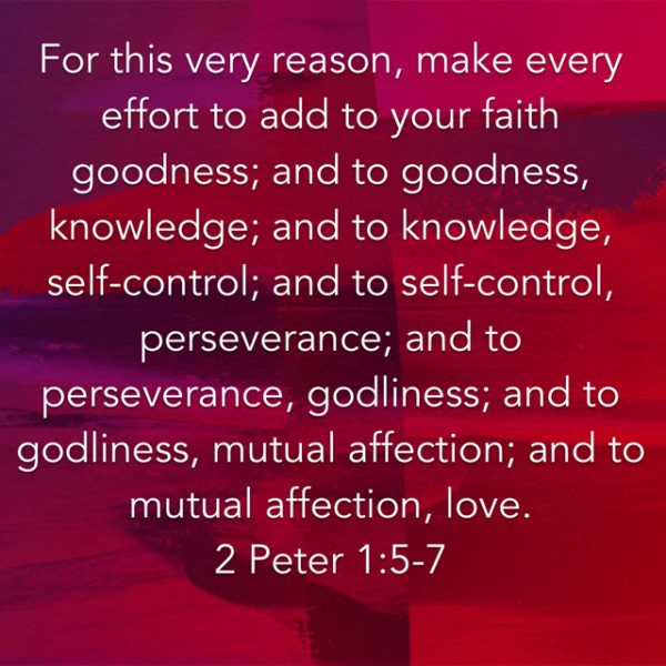 For this very reason, make every effort to add to your faith goodness; and to goodness, knowledge; and to knowledge, self-control; and to self-control, perseverance; and to perseverance, godliness; and to godliness, mutual affection; and to mutual affection, love.