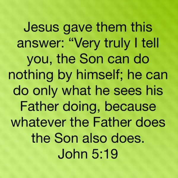 Jesus gave them this answer: "Very truly I tell you, the Son can do nothing by himself; he can do only what he sees his Father doing, because whatever the Father does the Son also does.
