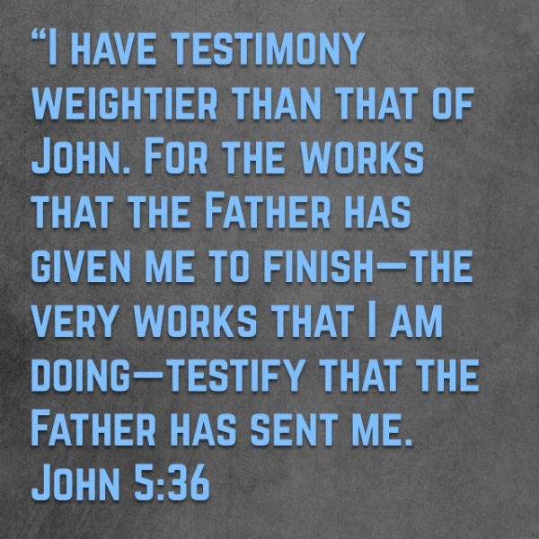 I have testimony weightier than that of John. For the works that the Father has given me to finish -- the very works that I am doing -- testify that the Father has sent me.