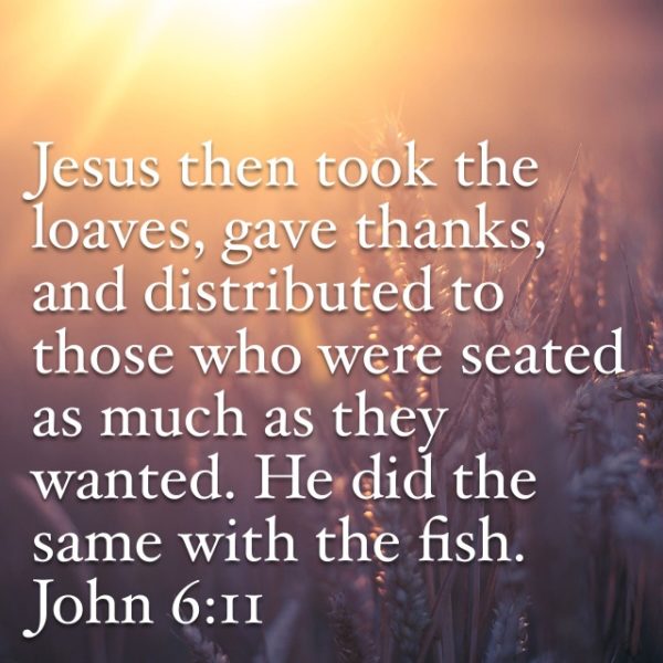 Jesus then took the loaves, gave thanks, and distributed to those who were seated as much as they wanted. He did the same with the fish.