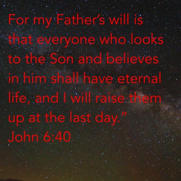 For my Father's will is that everybody who looks to the Son and believes in Him shall have eternal life, and I will raise them up at the last day.