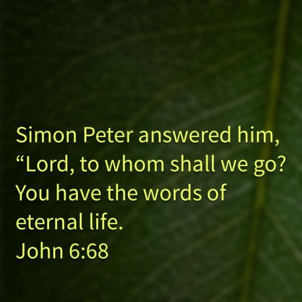 Simon Peter answered Him, "Lord, to whom shall we go? You have the words of eternal life."