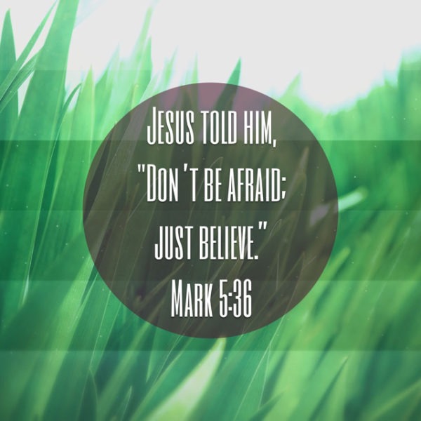Jesus told him, "Don't be afraid; just believe."