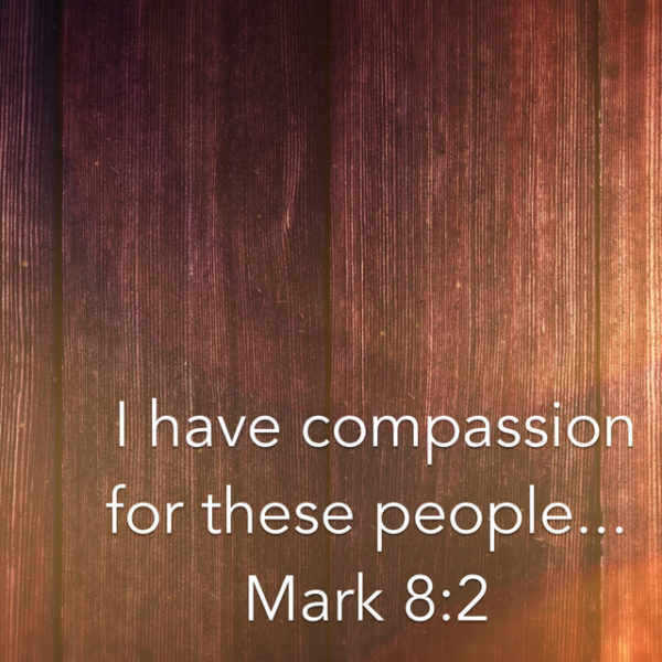 I have compassion for these people...