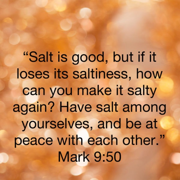 Salt is good, but if it loses its saltiness, how can you make it salty again?? Have salt among yourselves, and be at peace with each other.