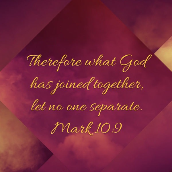 Therefore what God has joined together, let no one separate.