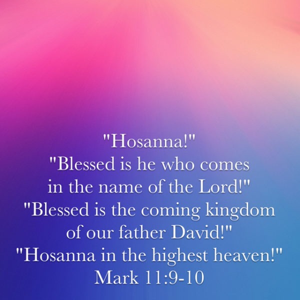 Hosanna! Blessed is he who comes in the name of the Lord! Blessed is the coming kingdom of our father David! Hosanna in the hightest heaven!