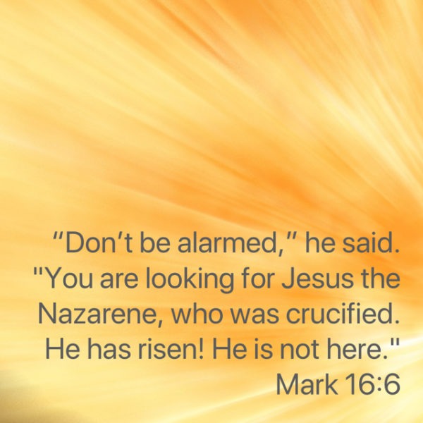 "Don't be alarmed," he said. "You are looking for Jesus the Nazarene, who was crucified. He has risen! He is not here."