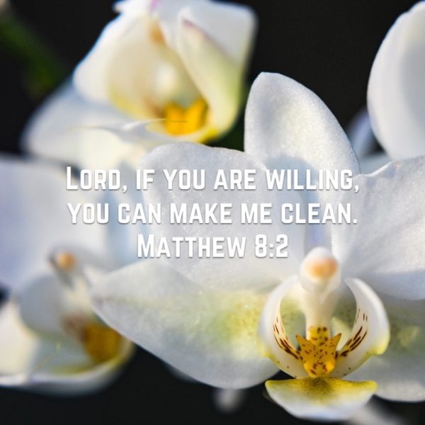 Lord, if You are willing, You can make me clean.