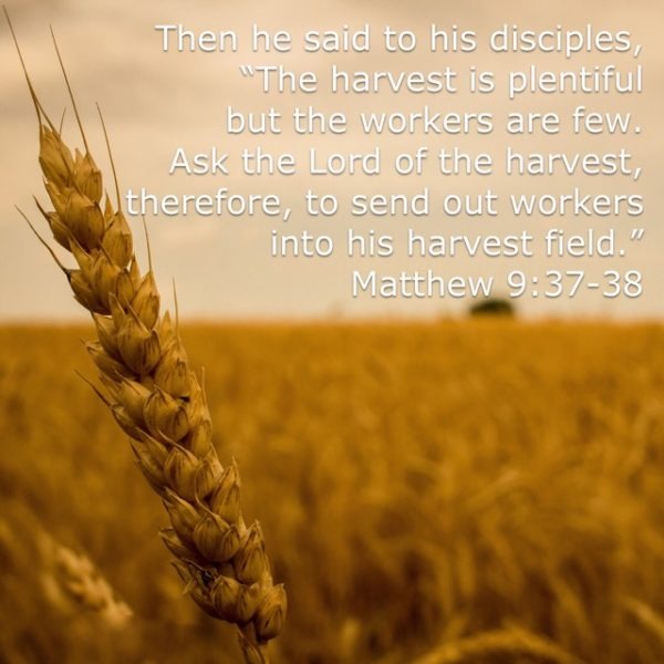 The he said to his disciples, "The harvest is plentiful but the workers are few. Ask the Lord of the harvest, therefore, to send out workers into His harvest field."
