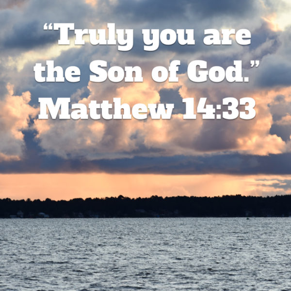 Truly You are the Son of God.