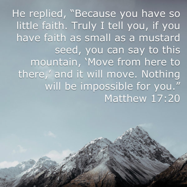 He replied, "Because you have so little faith. Truly I tell you, if you have faith as small as a mustard seed, you can say to this mountain, 'Move from here to there,' and it will move. Nothing will be impossible for you."