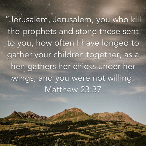Jerusalem, Jerusalem, you who kill the prophets and stone those sent to you, how often I have longed to gather your children together, as a hen gathers her chicks under her wings, and you were not willing.