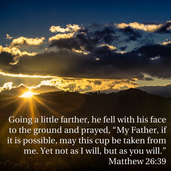 Going a little farther, He fell with His face to the ground and prayed, "My Father, if it is possible, may this cup be taken from me. Yet not as I will, but as You will."