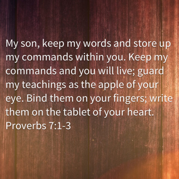 My son, keep my words and store up my commands within you. Keep my commands and you will live; guard my teachings as the apple of your eye. Bind them on your fingers; write them on the tablet of your heart.