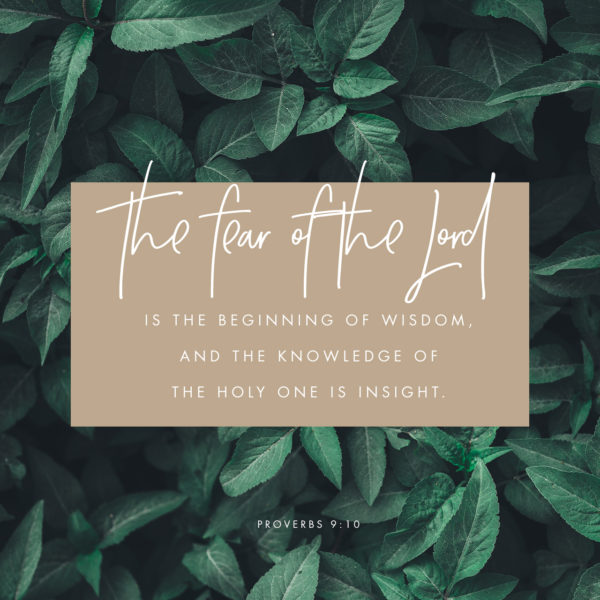 The fear of the Lord is the beginning of wisdom, and the knowlegde of the Holy One is insight.