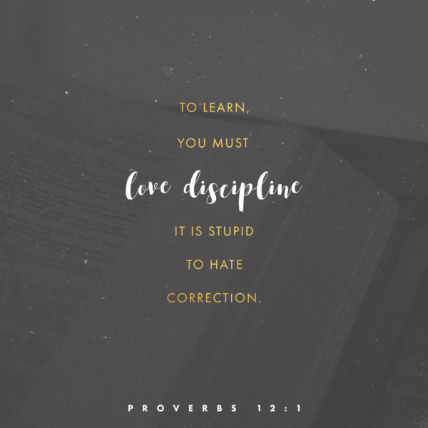 To learn, you must love discipline. It is stupid to hate correction.