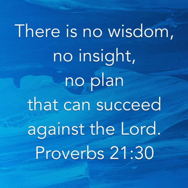 There is no wisdom, no insight, no plan that can succeed against the Lord.