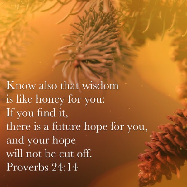 Know also that wisdom is like honey for you: if you find it, there is a future hope for you, and your hope will not be cut off.