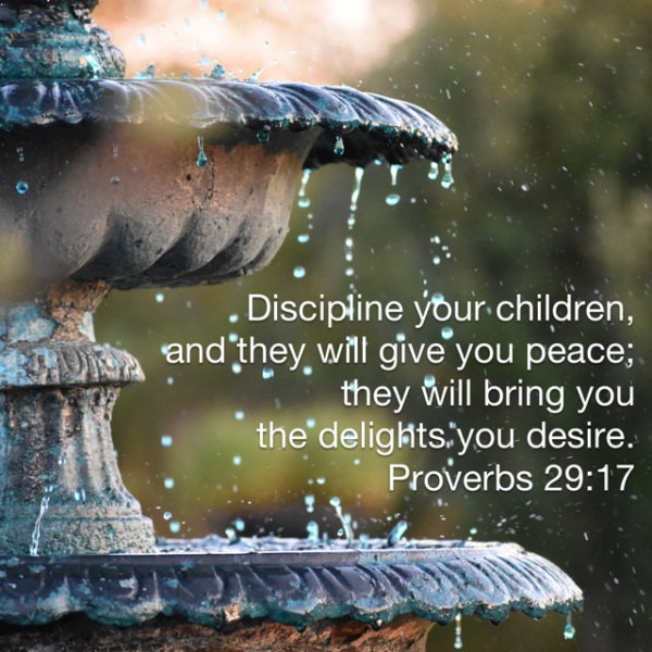 Discipline your children, and they will give you peace; they will bring you the delights you desire.