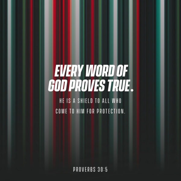 Every word of God proves true. He is a shield to all who come to Him for protection.
