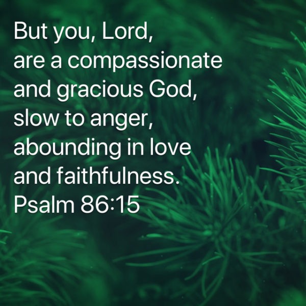 But You, Lord, are a compassionate and gracious God, slow to anger, abounding in love and faithfulness.
