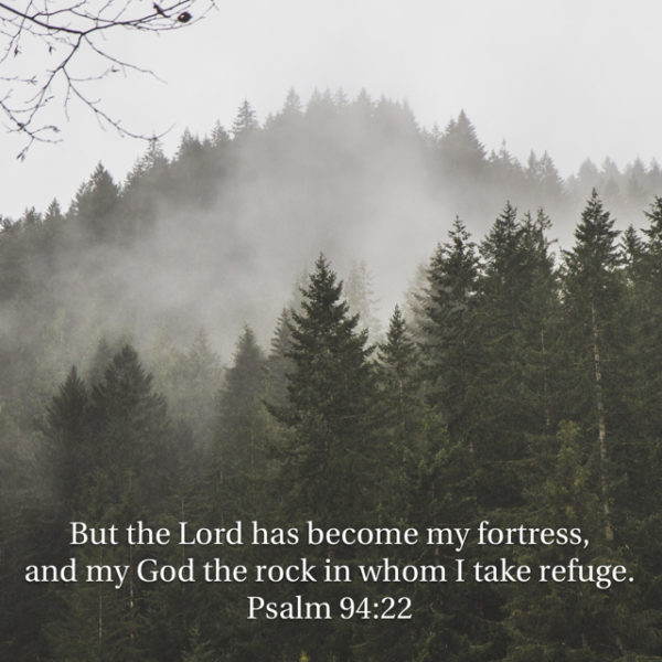 But the Lord has become my fortress and my God the rock in whom I take refuge.