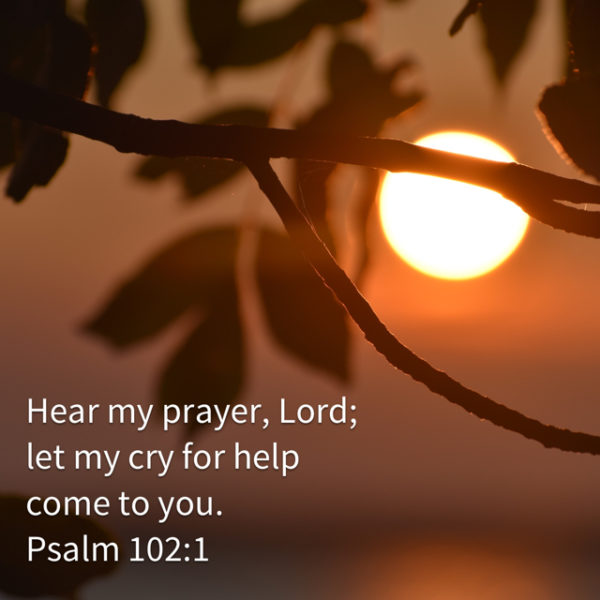 Hear my prayer, Lord; let my cry for help come to You.