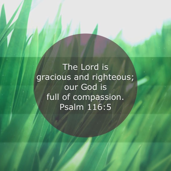The Lord is gracious and righteous; our God is full of compassion.