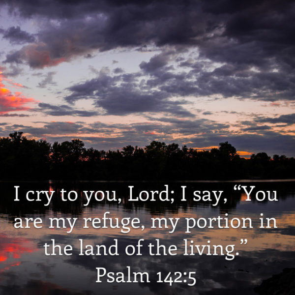 I cry to You, Lord; I say, "You are my refuge, my portion in the land of the living."